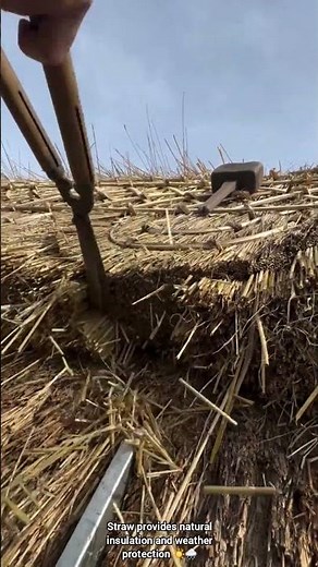 Building a Cabin Roof Using Straw for Natural Insulation and Weather Protection
