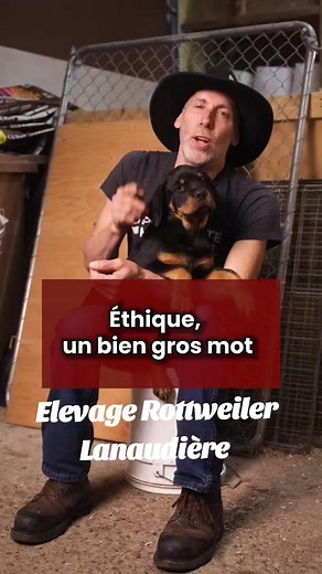 Avec ou sans papiers? elevagerottweilerlanaudiere.com | Élevage Rottweiler Lanaudière