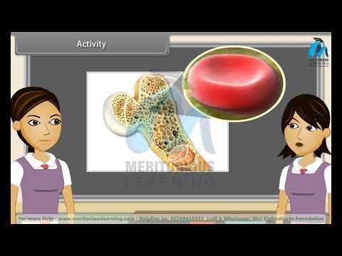 Class 9th SCIENCE | Animal Tissues | English Medium | Meritorious Learning #onlineclasses