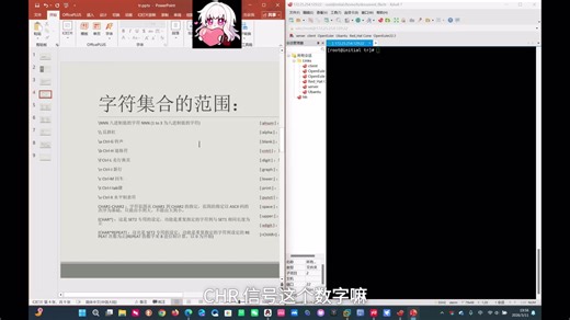 linux的tr命令详解。
