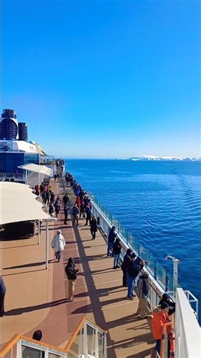 Cruising through the last untouched continent ❄️🚢2️⃣ Emotional #cruise #antarctica #travel #shorts