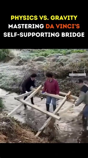 Physics vs Gravity || Mastering Da Vinci’s Self-Supporting Bridge #physics #davincibridge #gravity