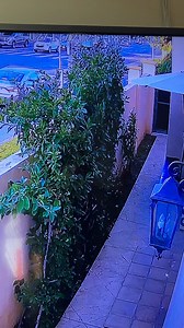 A family has reached an $18 million settlement after a 17-year-old driver crashed his father’s Lamborghini into a woman’s car in Los Angeles. Officials say the teen was racing someone else, heading down the street at more than 100 MPH. STORY: https://bit.ly/3vlAmM0 (Photo: Daniel Ghyczy, Esq.of Alexandroff Law Group) | FOX26