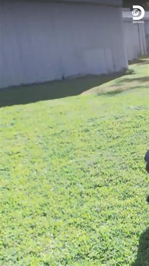 1.1M views · 28K reactions | Bill transforma un Cadillac antiguo en un poderoso auto para Slim Thoug #TexasMetal  Disfruta el contenido de Discovery en #HBOMax Suscríbete ahora: https://bit.ly/MAX-DiscoveryEsp | Discovery en Español | Facebook