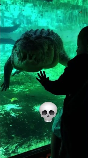 TRANSFORMATION OF ANIMALS #trollface #trolling #editing #memes #trending #transformation