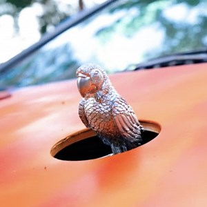 40K views · 275 reactions | Upgrade your car with this DIY Rolls Royce style sign! | 5-Minute MAGIC | Facebook