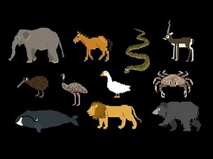 Animals Collection 2 | Small and Big Animal | ⁨Kids Learning Videos
