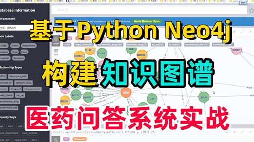 【2026最强知识图谱实战教程】1小时带你基于Python Neo4j从零搭建知识图谱医药问答系统实战，原理入门 项目实战，看完直接跑通！AI/自然语言处理/毕