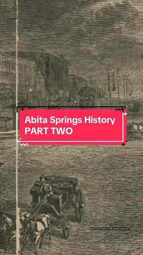 Louisiana Dread on TikTok