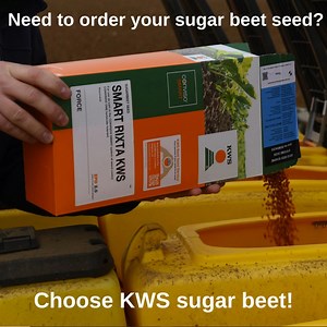 Still need to order your sugar beet seed? Check out our strong KWS sugar beet portfolio now! ​ https://bit.ly/3OR4plp Choose EPD 2.0 to benefit from the Beet Seed Service. 50% discount on replacement seed should you need to re-sow​ Find out more ​ https://bit.ly/3w5IpN4 | KWS UK | Facebook