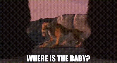 Where is the baby?