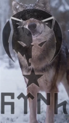 🤎 | We are the Alpha Wolves