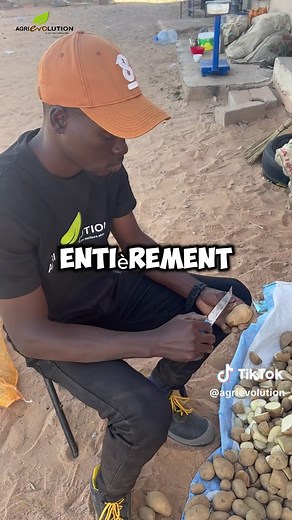 Techniques de coupe de pommes de terre en agriculture