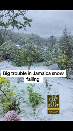 #snow #countbrown #milkillbill #snowfall #naturaldisaster | clarendon snow