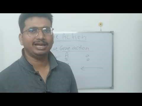 Breeding Made Easy: Gene Action in Quantitative Genetics (For Exams & Research) #agrigpb #genetics