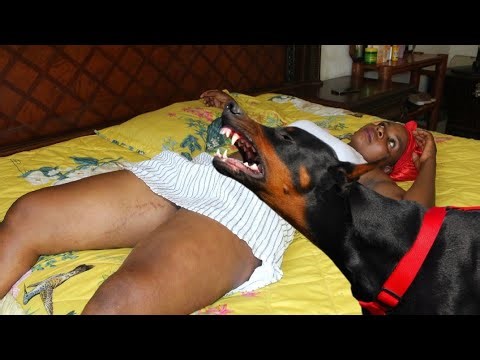 IMBWA IRONGOYE NYIRABUJA KARAHAVA