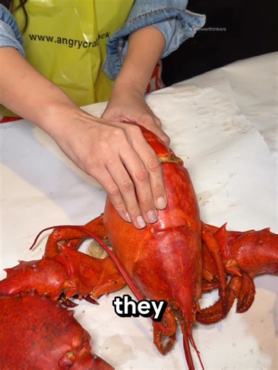 Discover the Secret Color of Lobsters