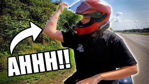 Emergency stopping because of murder hornets! Yellow jacket gets stuck in my jacket!