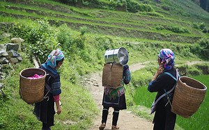 The Women that Feed Us: Gender Empowerment of Farmer Women - The National Herald