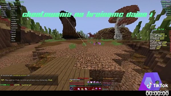 Cheat Codes for Minecraft: Get Ahead Now!