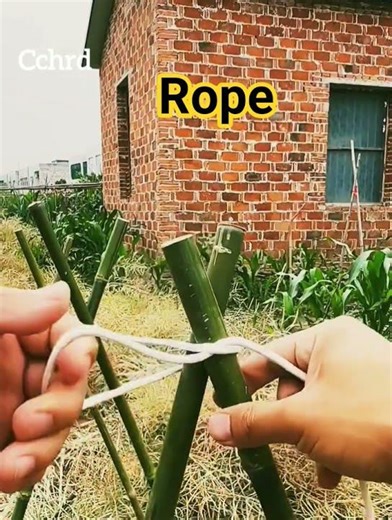 simpul untjk beberapa tonggak #shoot #singleshoot #rope