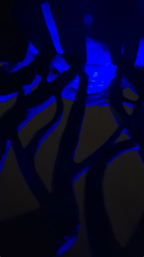 🎨 I finally got to see UMI with my own two eyes (Aurora, Colorado)! Amazing. Here's what the sign says: “UMI” BY DANIEL POPPER AUGUST 2023 Umi is an extraordinary embodiment of the interconnectedness between humanity and the natural world, inspired by the profound concept of Gaia as envisioned by environmental scientist John Lovelock. In his holistic understanding of the Earth as a self-regulating organism, Lovelock introduced Gaia, the primordial mother and ancestral goddess who shaped and nur