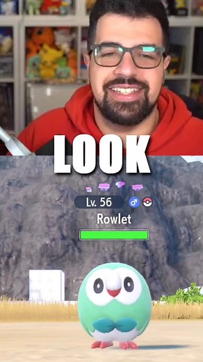 Pokemon Master AwesomeAdam on Instagram: "SHINY ROWLET LIKE WHY?????? Such a cute shiny pokemon I wanted to keep 😭"