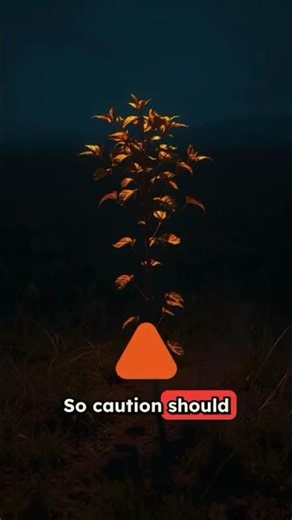 GMO Foods and Gene Editing