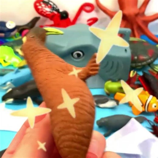 Walrus Surprise Sea Animals with Shark Head