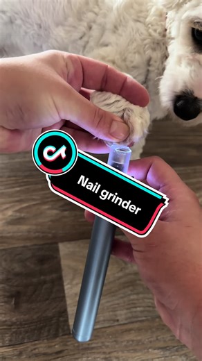 The Benefits of Using a Nail Grinder for Dog Grooming
