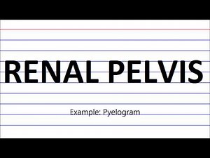 Medical Terminology Flash Cards: Urinary System