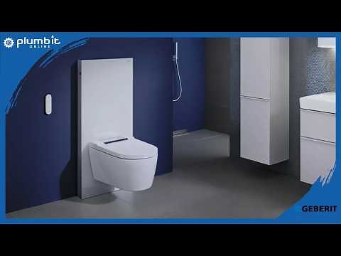 How To Install A Geberit Monolith Sanitary Module For Floor-Standing Toilet