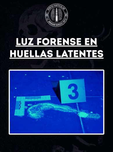 Video con fines educativos de la aplicación de luz UV en huellas latentes con reactivos fluorescentes 🕵🏻👀 Si te has preguntado cómo se ven las huellas bajo luz UV y reactivos fluorescentes aquí la respuesta 😎 Si quiere aprender el proceso adecuado, déjame un comentario 👀 #parati #fypシ #criminologystudent #criminalistica #cienciasforenses