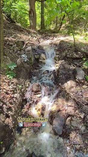Mountain Water stream ravine