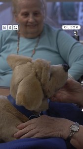 452K views · 128 reactions | Woof! This robot dog is being used in therapy to help people living with dementia  | BBC Click | Facebook
