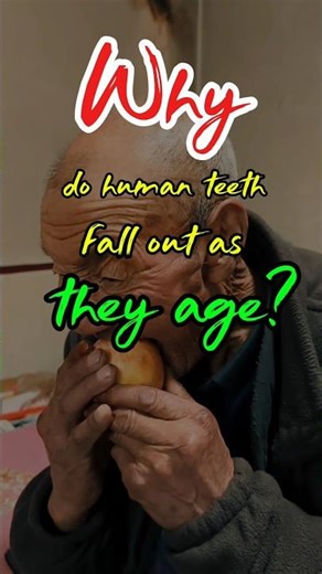 Why Teeth Fall Out as We Age #usa