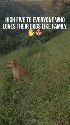 32K views · 4K reactions | There’s a special kind of person who...