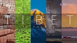 Today's Tibet is a land of color, bursting with diversity, culture, and a well-preserved history. Over 7 decades, the region in southwest China has emerged from darkness to brightness, from backwardness to progress, from poverty to prosperity. #GLOBALink #YakVideo #Tibet70Years | Xinhua Culture&Travel