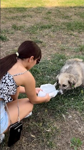 Heavy's Signature Sandvich! #tf2 #heavy #sandvich #shorts