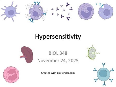 Immunology Fall 2025: Lecture 32 Hypersensitivity