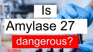 Is Amylase 27 low, normal or dangerous? What does Amylase level 27 mean?