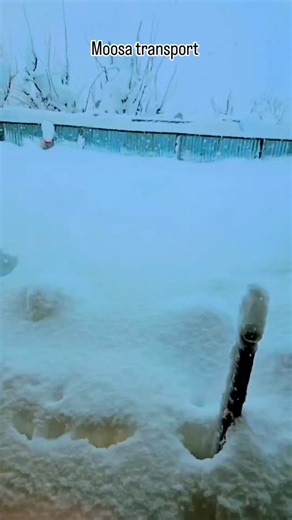 “Winter is here! ❄️ Ensure a smooth journey with Moosa Transport. Book your cab in advance and enjoy a hassle-free ride. ☃️✨ Call us now to reserve your ride! 📞 919796666003 🌐,,,moosatransport.com 💌,,, info@moosatransport.com #MoosaTransport #WinterTravel #CabBooking #TravelInAdvance” | Moosa Transport