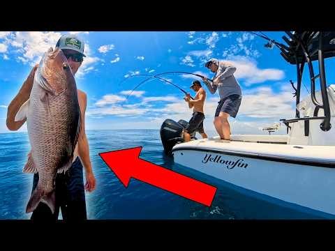 I couldn't Believe what I found INSIDE this Fish Belly | Snapper Power Fishing