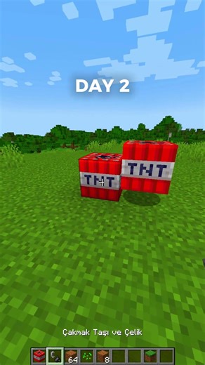 DAY 2 - TNT EXPLODED #shorts #minecraft