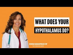 How Your Hypothalamus Controls Every System in Your Body | The Maestro of Hormones and Health