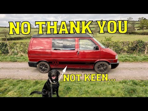 We Tried Vanlife With Our Anxious Dog