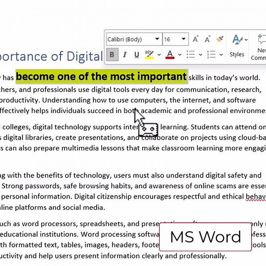 Microsoft Word Creating and Using Macros