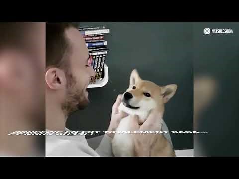 Découvrez Natsu, le chien de Squeezie !