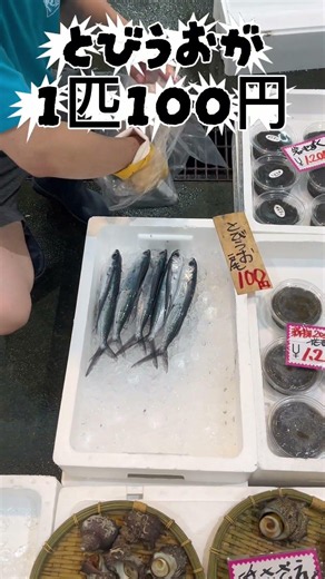 サメの肝は美味しい😋とびうおの塩焼きも美味しい😋福井県小浜市お魚センターに行ったきた😆#魚 #美味しい #福井県 #タカボン