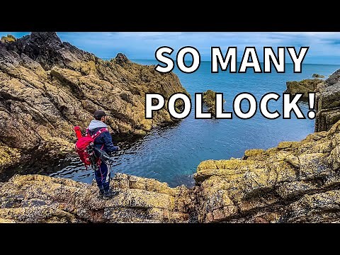 Shore Fishing for Pollock In South West Scotland | Sea Fishing UK! (4K)